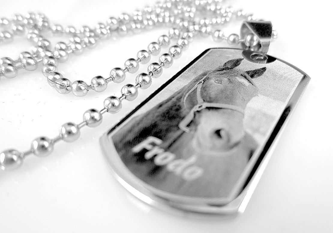 Ocelový přívěsek DOG TAG s vlastní fotografií / Několik variant