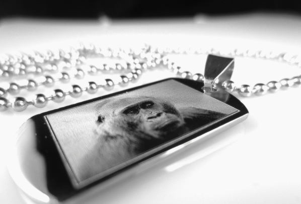 Ocelový přívěsek DOG TAG s vlastní fotografií / Několik variant