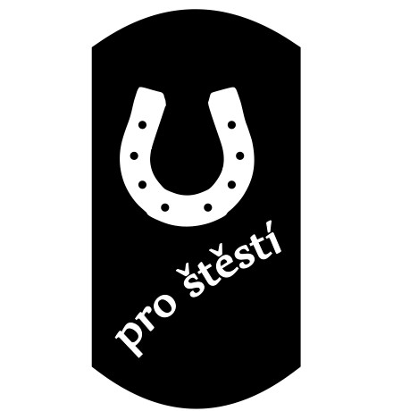 Ocelový přívěsek DOG TAG - D0401